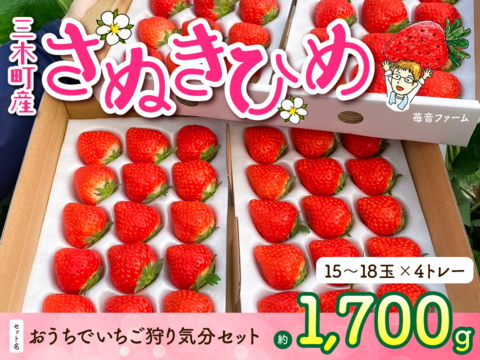 〔予約販売〕【苺音ファームのおうちでいちご狩り気分セット約1.7kg】香川県産さぬきひめ｜食べチョクいちごグランプリ2025金賞受賞❗️