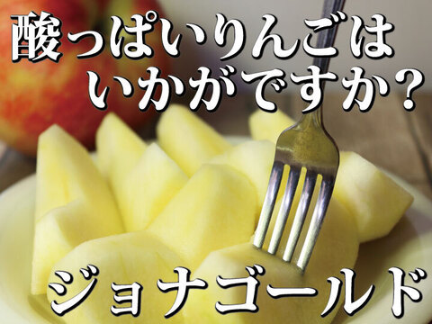 【甘酸っぱいりんご】約５キロ×２箱 青森県産「樹上完熟葉とらずジョナゴールド」家庭用厳選品