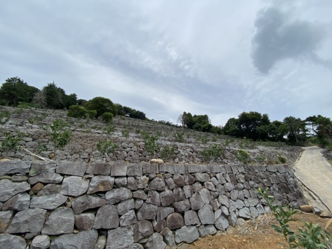 【これ選べば間違いなし】段畑育ちの早生みかん　サイズ混合　10kg