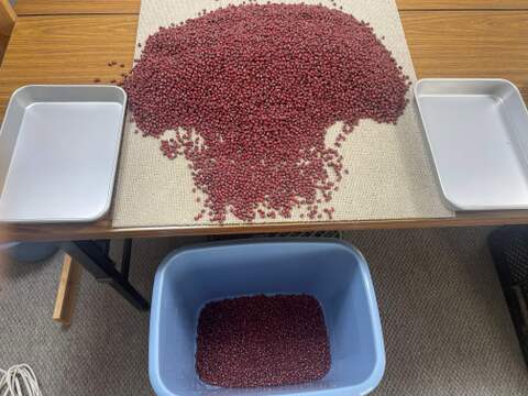 肥料・農薬不使用の自然16年の小豆　1ｋｇ