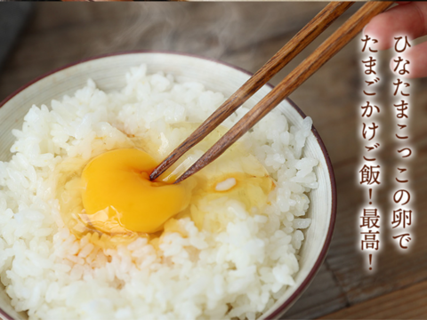 【お試し新発売！！】最高のたまごかけご飯の誕生♪♪「もみじたまごＭ10個」と【令和7年度新米】「サン・ファーム米（玄米2kg）」【通年常温便】★化学肥料及び農薬：栽培期間中不使用