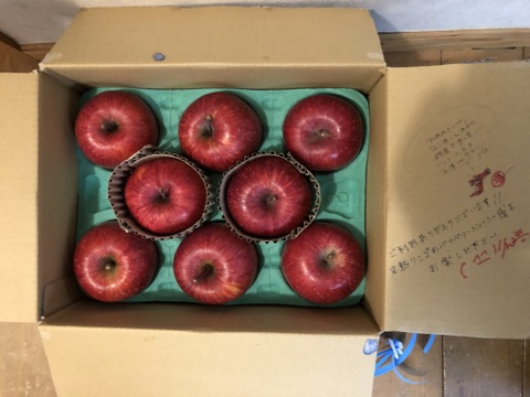 【蜜入保証】【サンふじ】（2kg・9～10個入り）パリパリ・ジューシーお得な家庭用