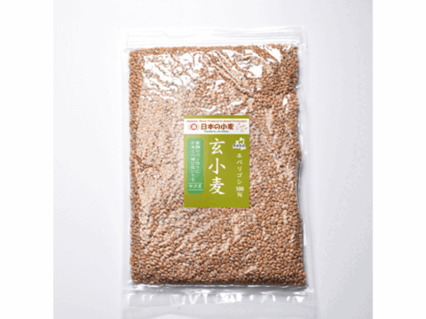 ネバ玄粒 玄小麦 中力系 800g 青森県産単一品「ネバリゴシ」100％ 日本の小麦 国産小麦 国産玄麦