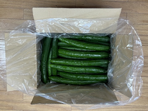 生でそのままガブリ！旨味にこだわった極旨秩父きゅうり良選【特別栽培、約５Kg】