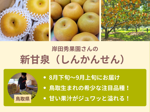 【限定300セット】梨食べ比べ便第１弾※送料込※（食べチョク公式）