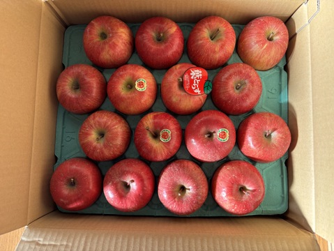 発送開始！完熟葉とらずサンふじ🍎約5㎏