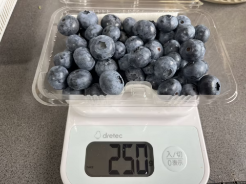 【農薬・肥料不使用】雑味のない、きれいな味｜朝摘みブルーベリー（500g）