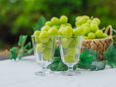 【超お得！】たっぷり味わう贅沢時間！『シャインマスカット』（ご家庭用３～５房/合計約１.５kg）