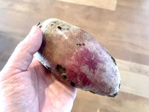 【数量限定】佐渡島からビーツ 1kg【農薬・化学肥料不使用】