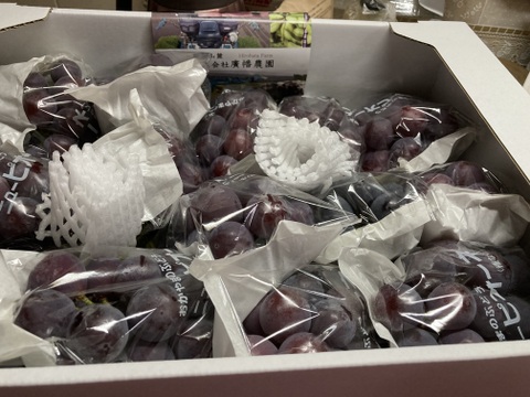 【9月発送分ご予約開始】お徳用ピオーネ5㎏箱（規格外品）（クール便）