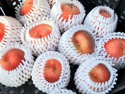 今年の桃はよくできました！おまかせ桃セット 約3㎏