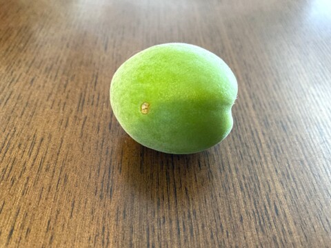 【お買い得】サイズいろいろ！ご家庭用「青梅 １Kg」