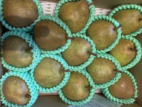 こだわり栽培 3kg ラ・フランス　家庭用　10〜18玉入り　生食・加工用どちらでも　山形県産西洋梨ラフランス