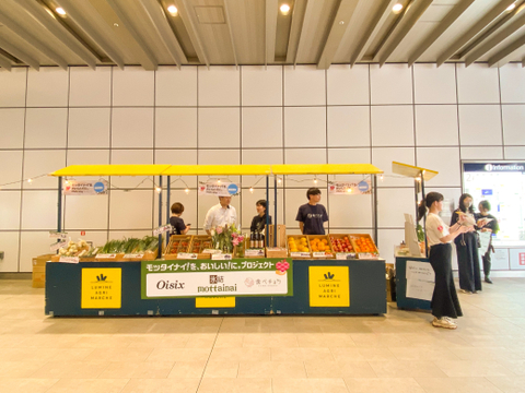 【訳ありだけど味は本物】【規格外】もったいないが美味しい🍊濃厚せとか（加工用）