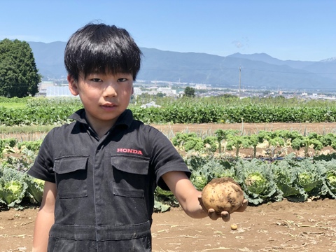 5kg 旬の掘りたて 土付き新じゃが キタアカリ 長野県産 食べチョク 農家 漁師の産直ネット通販 旬の食材を生産者直送