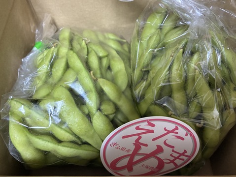 ＜うまっ！＞やみつき必須！うんめえ枝豆！　900g　【朝どれ】