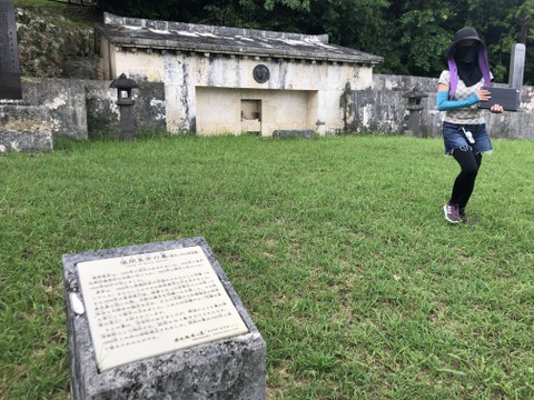 庄内平野の豊かな地下水と海からの潮風香る砂丘地で育てたさつまいも「紅はるか」　食べきりSサイズ 中心