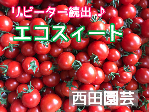 爽やかな甘さと酸味で大人気 糖度9～12度 ミニトマト 　バラ1.8kg