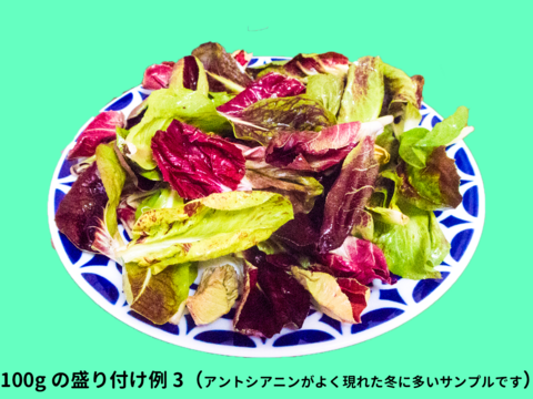 ほろ苦さたっぷり　チコリーのミックスリーフ  100g　露地土耕栽培