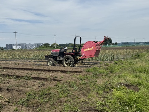 令和7年度　群馬県産　乾燥ニンニク 有機肥料栽培　農薬化学薬品無使用　1kg