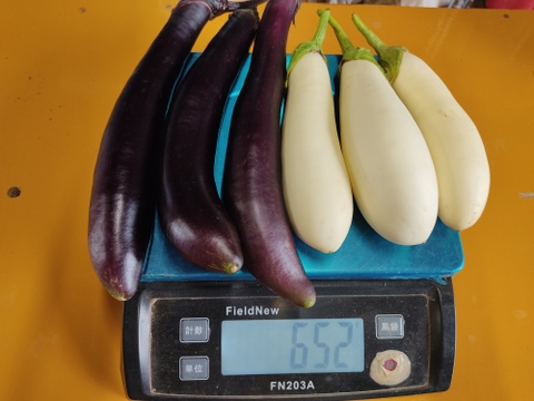 🥒🍆夏の定番コンビ！キュウリ10本＆ナス約600g｜サラダにも炒め物にも｜朝どれ直送｜農薬・化成肥料不使用🥒🍆