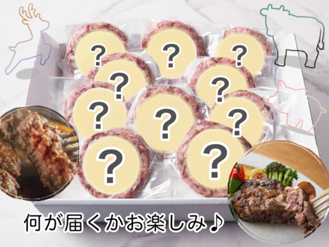 【福袋2025】何が届くかお楽しみ♪♪人気のハンバーグ4種からランダム詰め合わせセット　120g×12個