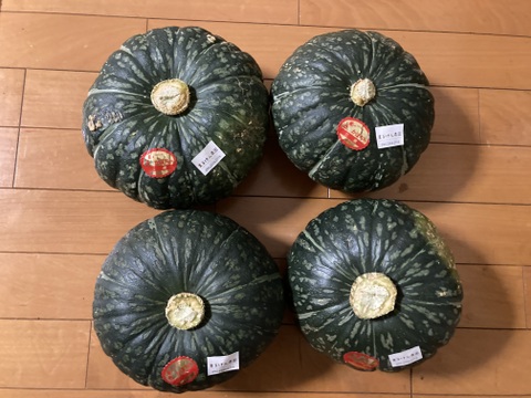 三浦産みやこかぼちゃ4個入り