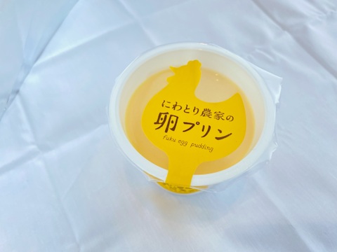 濃厚な味わい!にわとり農家の卵プリン6個セット