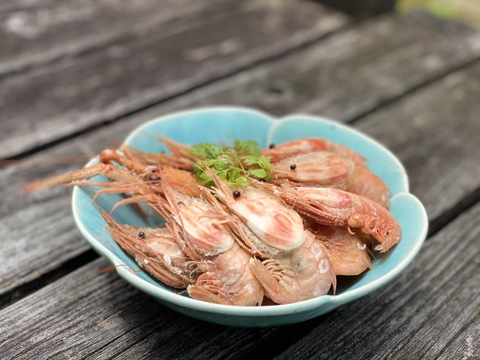 シンデレラ誕生！魚ガチャから「ミノエビ」オススメは刺身！400g