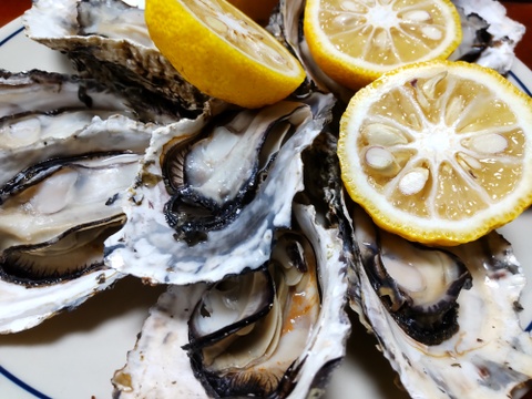 京丹後・久美浜産　殻付き牡蠣［加熱用］　4ｋｇ（40~50個前後）