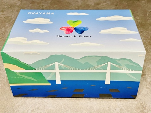 ちょうどいいサイズ！岡山県産ピオーネ&シャイン２房入り