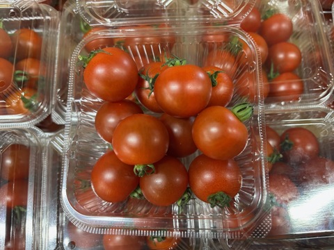 季節のお野菜６品セット