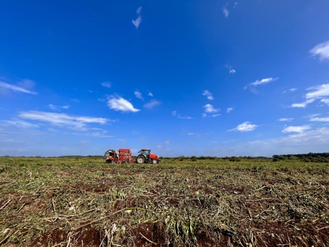 【福袋】『雪夏稚くん』のホッカイコガネ6kg＆人参6kgセット【冬ギフト】合計12kg