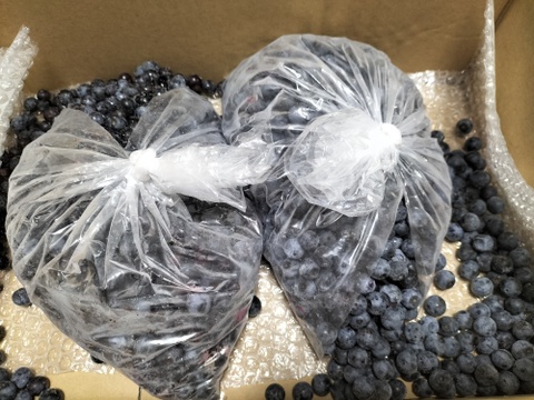 冷凍ブルーベリー4kg【訳あり：小中粒】：栃木県産のブルーベリー