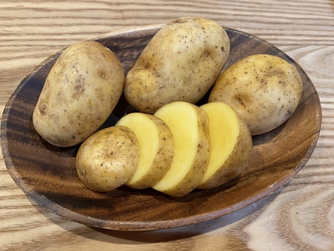 北海道の越冬ジャガイモ！『インカのめざめ』(10kg)