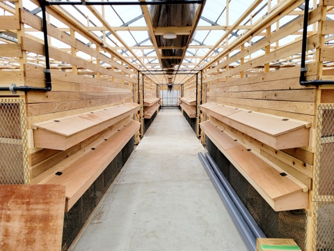 地元のお米や小豆、季節の野菜や果物で育てた鶏のこだわり新鮮卵