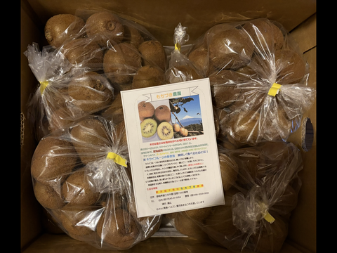 ちっちゃいキウイふる～つ　家庭用 8K【品種ヘイワード】）