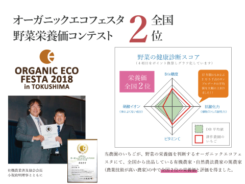 茨城いちごグランプリ3年連続受賞！　いちご農家おすすめの旬のいちご【デラックス】オリジナルブランド苺（いちご・イチゴ）