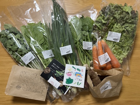 野菜セット Sサイズ【7品】