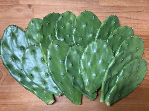 メキシコ帰りの農家が栽培する　食用サボテン　500ｇ