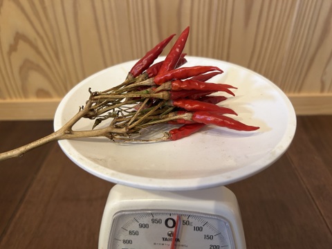 唐辛子🌶️20g、軒先で乾燥