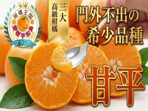 🍊入手困難な希少柑橘🍊柑橘王国だけが育てることを許された“本物の甘さ”『甘平』大容量パッケージ約3㎏【2月上旬予約】