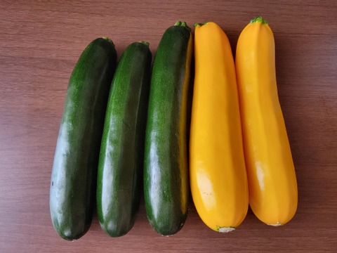 サラダでも食べられる大きなズッキーニ「緑・黄セット」約2kg（5~6本）