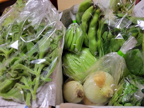 【二十四節気の野菜7～9品目】魚のまち農家の野菜セット