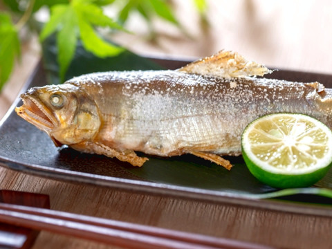 消毒無し！！すだち【わけあり】2kg 三重県伊勢志摩産