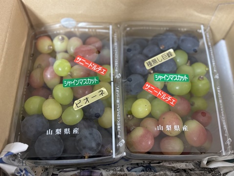 完熟・粒々粒セット・シャインも入って園主にお任せ3種類の旬の味わい（600ｇパックが２つ）