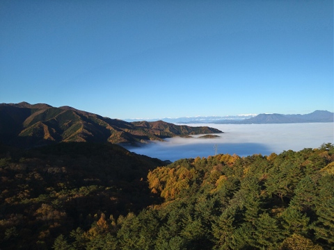 サンつがる　りんご　約4キロ　13個〜16個　真っ赤ではない部分ある、見た目が立派ではないりんごたち　市場には出回りづらい小さめりんご多め