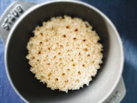 【玄米】5kgx2 合計10kg【自然栽培・天日干し】ササニシキ