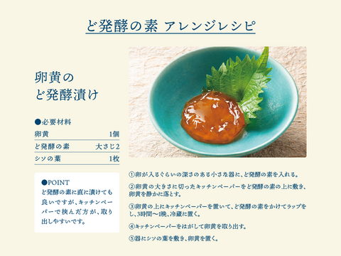 三生酵素を生きたまま！ど発酵の素　100g