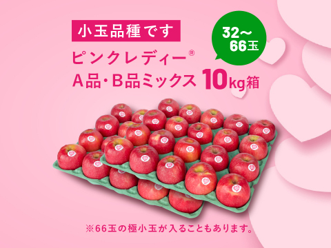 発送中🍎ピンクレディー®︎  10キロ箱 32玉〜66玉サイズ  長野県 信州 安曇野 リンゴ 幻 幻のリンゴ 予約 希少 ID99665ピンクレディー